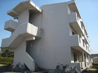 DI住吉コーポの画像