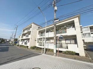 ホワイトプラムの画像