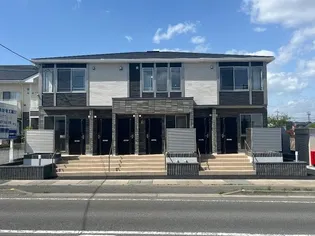 サウスグレイスの画像