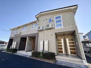 プリムローズの画像