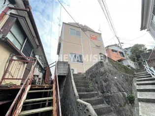 ノエル油木の画像