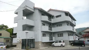 ベーシック緑の画像