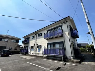 サンフラワーの画像