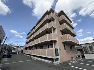 ストリームの画像