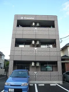 FREESIAの画像