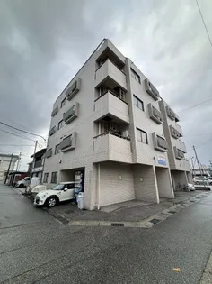 RAIZ星井の画像
