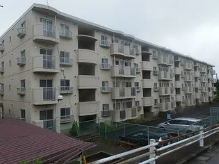 湘南カワマヒルズ【3階】の外観