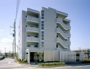 モデルノの画像