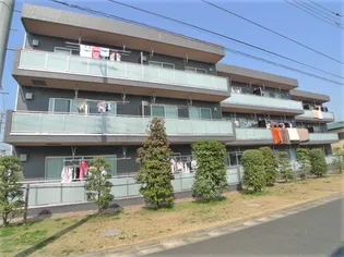 フェアフォレストの画像