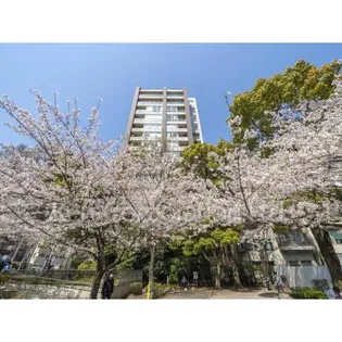 ウィーウィル八丁堀の画像