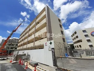 フィデール モリの画像