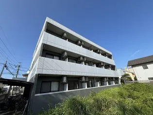 MARECAGE柏の画像