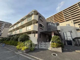 シャンポールかささぎの画像