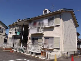シャンポール平手の画像