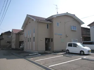 ドリームの画像