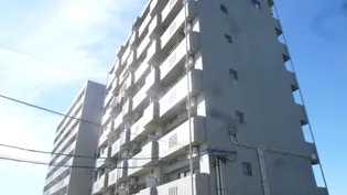 マンションとうせ西浦MS ビル 松岡 MS【2階】の間取り