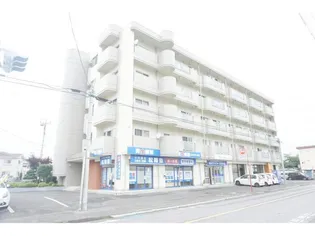 メゾンドフジ【4階】の外観