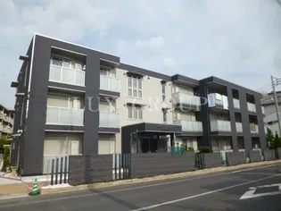 ラフィネアロッツィオの画像