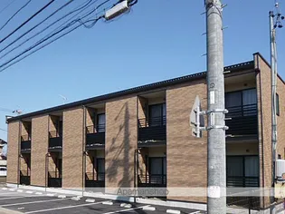 レオネクストシャインの画像