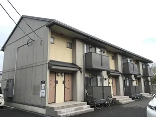 モーニンググローリーBの画像