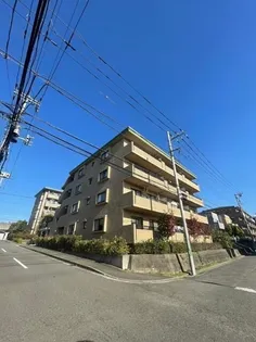 グレース代官4の画像