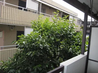 サンハイツ鈴木【2階】のその他画像