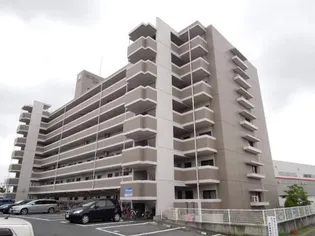 コニファープラザ新福【3階】の外観