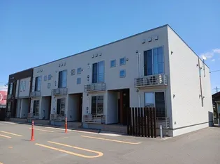 アルテシモ ガンビーノの画像