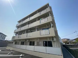 ラフィーネの画像