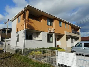 セントポーリアAの画像