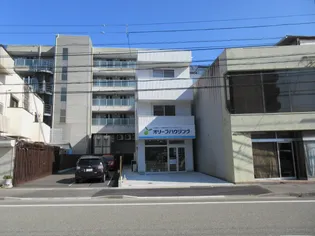 カサオリーブの画像