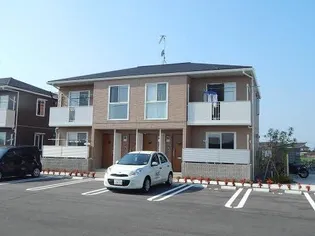 ベニコーの画像