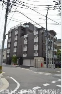 グランドシューの画像