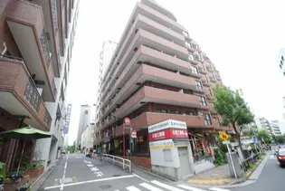 東京都千代田区麹町1【マンション】の外観
