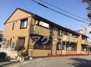 SUNNY GABLESの画像