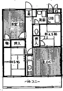 東京都練馬区桜台3【マンション】の間取り