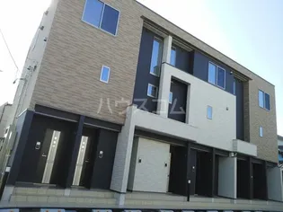 メイフラワーの画像