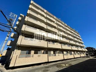 ルミエール緑の画像