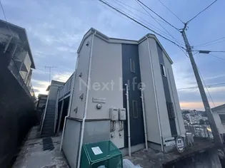 サザン ラキシスの画像