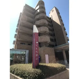 ネオニシキの画像