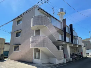 サンホープ7の画像