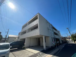 プリムローズの画像