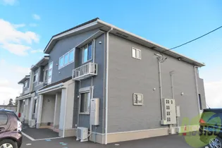 プラシードSKIの画像