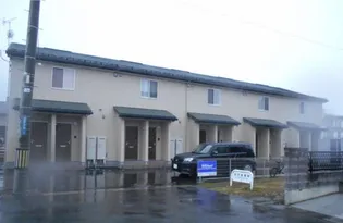 コスモス ワンの画像