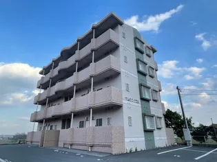 サムシング23の画像