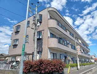 プラセールNの画像