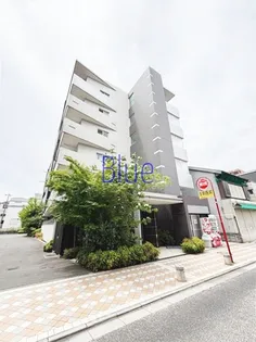 フィオーレの画像