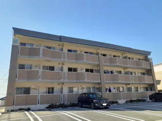 N T 秋月ーBの画像