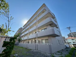 カストール鹿野の画像