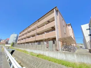 石塚ハイム【4階】の外観